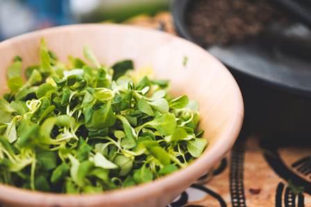 Imagen principal del artículo ¿Por qué cambiar a una dieta vegetariana? En la imagen se aprecia un bol de ensalada con brotes verdes.